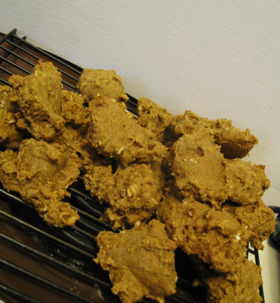breakfastcookies