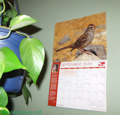 calendar