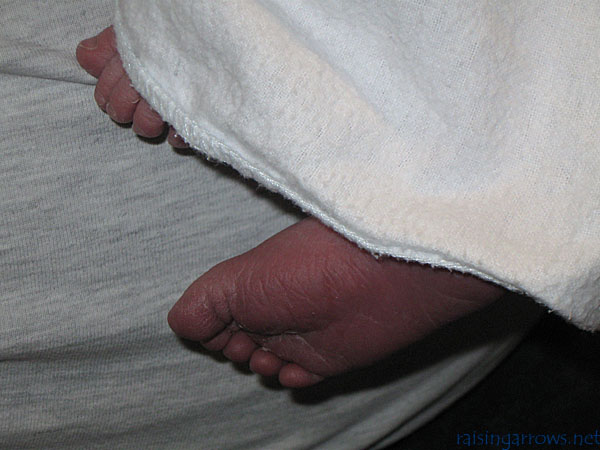 feet