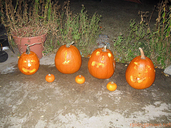 finished pumpkins