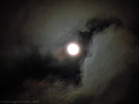moonlight moonlight