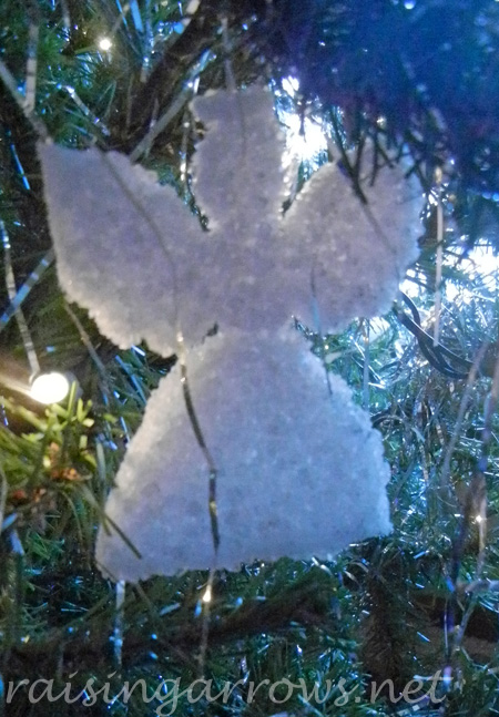 salt angel sal angel