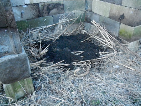 compost2 reeds and dirt
