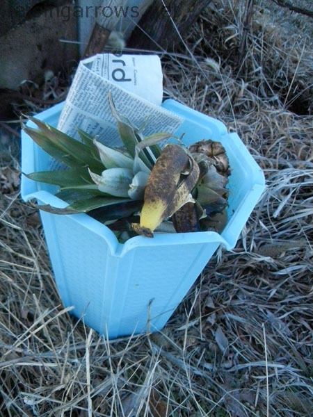 compost3 our indoor composting bucket
