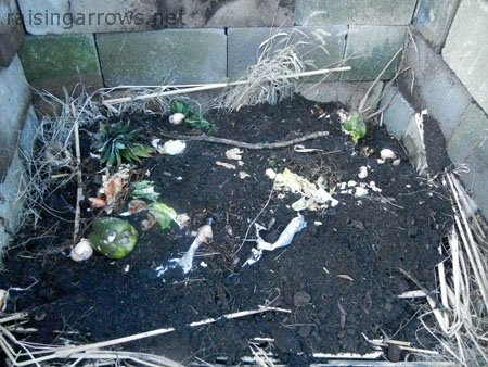 compost4 the scraps on the pile