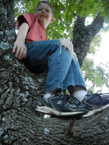 Keian in tree