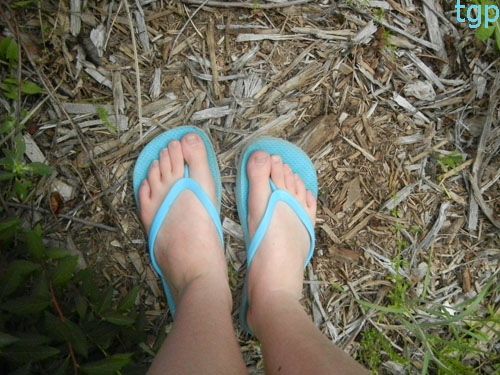 flipflops