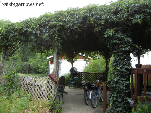 patio