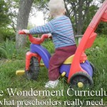 wonderment
