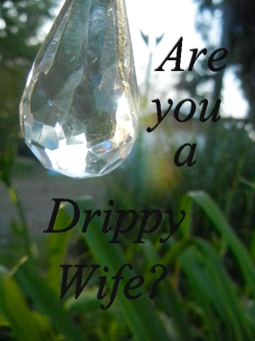 drippy wife graphic