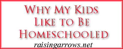 whymykids why my kids like being homeschooled