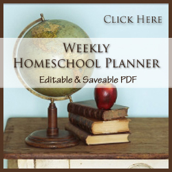 Planner_250_x_250_Button2