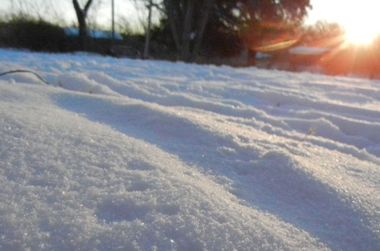 snow