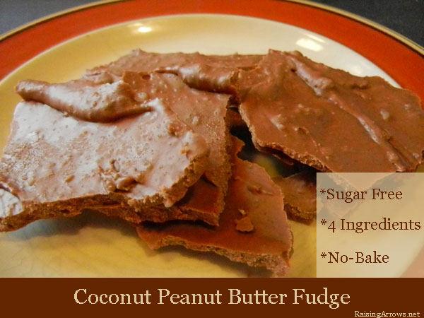 Coconut Peanut Butter Fudge | RaisingArrows.net