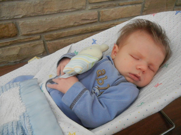 bouncy seat