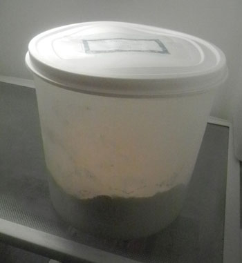 Whole Wheat Pancake Mix | RaisingArrows.net