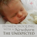 Unexpected Circumstances {Homeschooling with a Newborn} | RaisingArrows.net