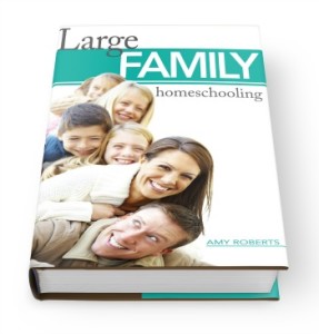 how to homeschool a large family