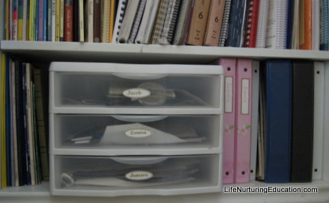 Homeschool Shelves